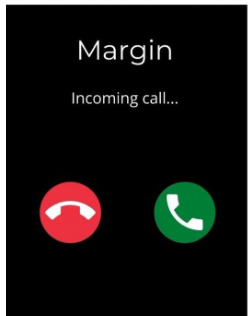 image5 margin call for shorts.png